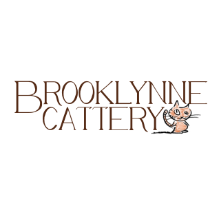 Brooklynne Cattery