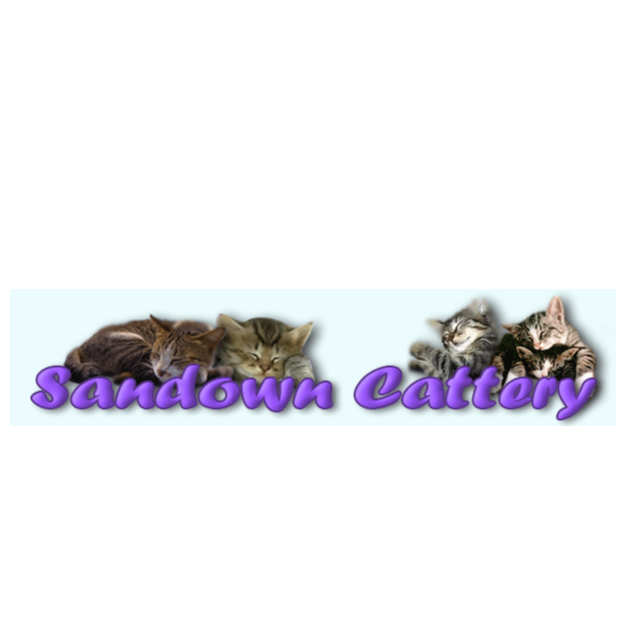 Sandown Boarding Cattery