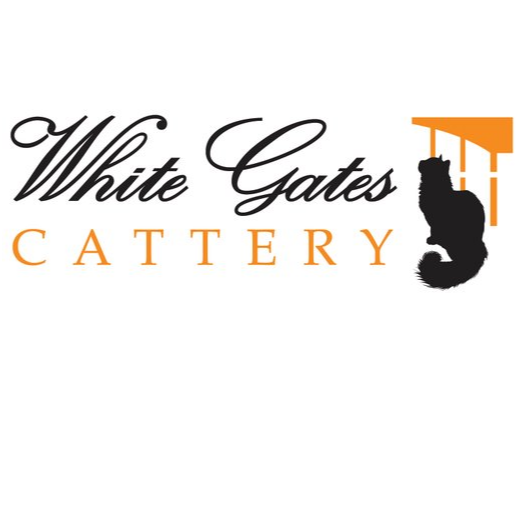 WHITEGATES CATTERY