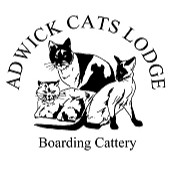 Adwick Cats Lodge