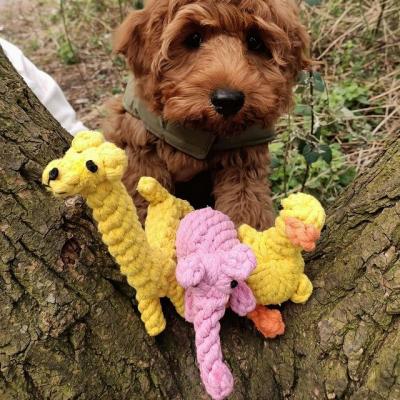 3 for 2 on all dog toys