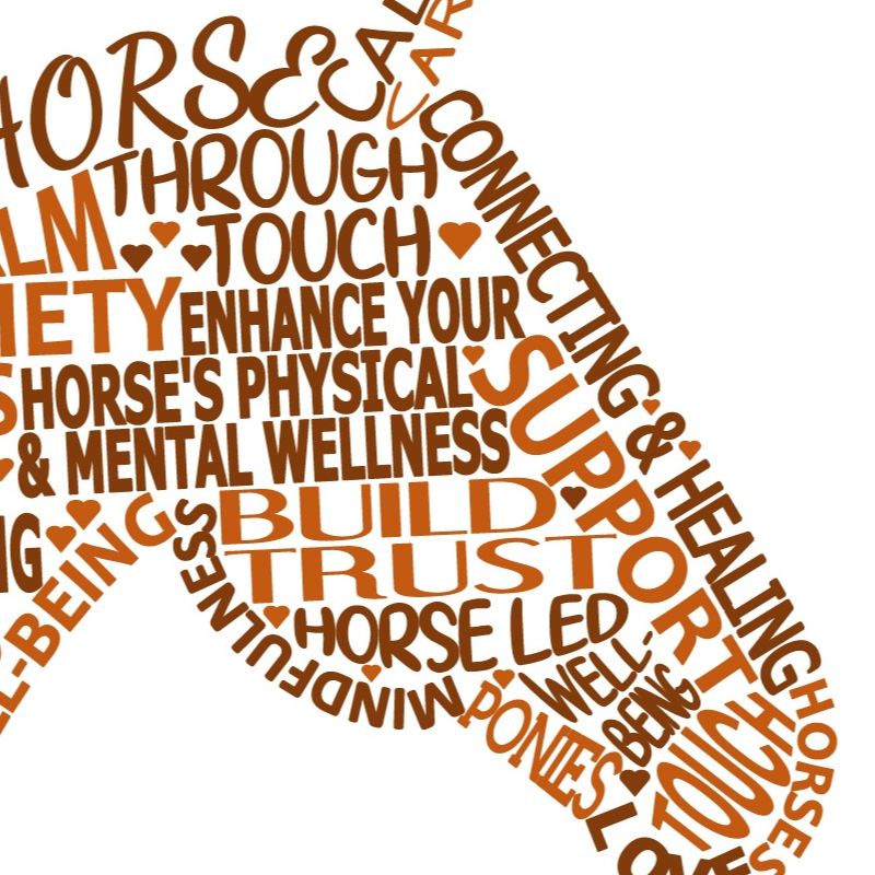 Animal Guided Healing