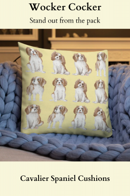 Cavalier cushion in a variety of colours and sizes