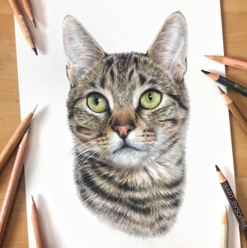 Sophie Ella Fine Art